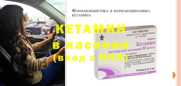 стафф Арсеньев
