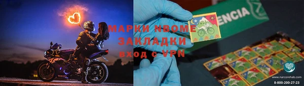 стафф Арсеньев