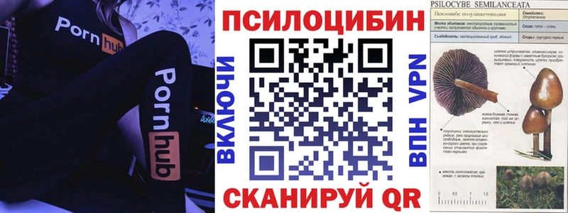 Галлюциногенные грибы прущие грибы  мега как зайти  Нефтегорск  хочу наркоту 